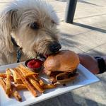 Restaurant Recommendations