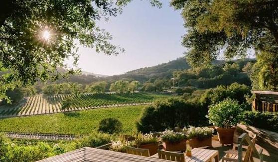 The Wedding Website of Sydney Pettit and Christopher Hoelle