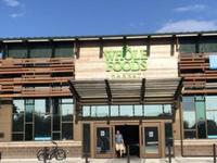 Whole Foods Market