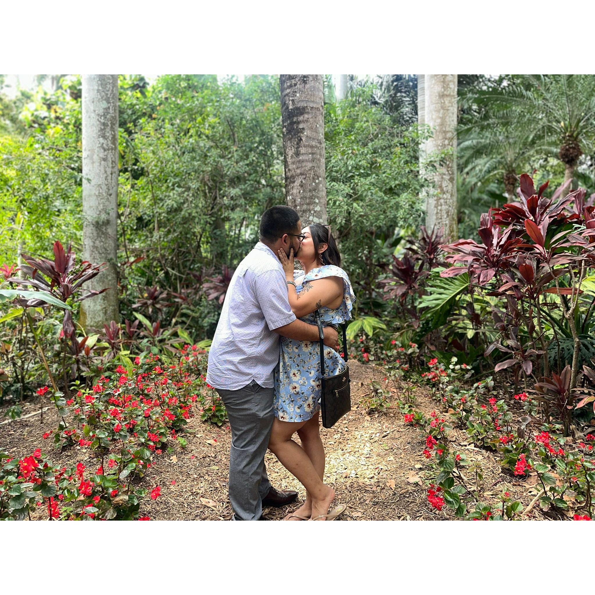 Sunken Gardens