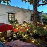 Majestic Oak Vineyard and Wine Tasting