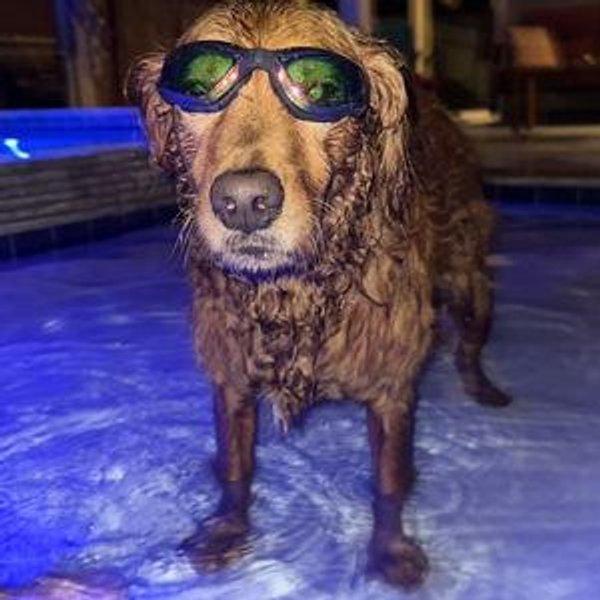 Fill the Pool Fund!