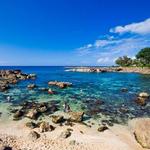 Sharks Cove