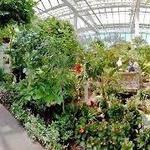 The Key West Butterfly and Nature Conservatory