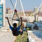 Fly LINQ Zipline