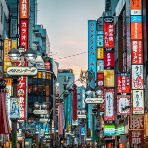 Honeymoon Fund: Japan!