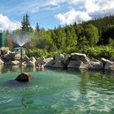 Chena Hot Springs Resort