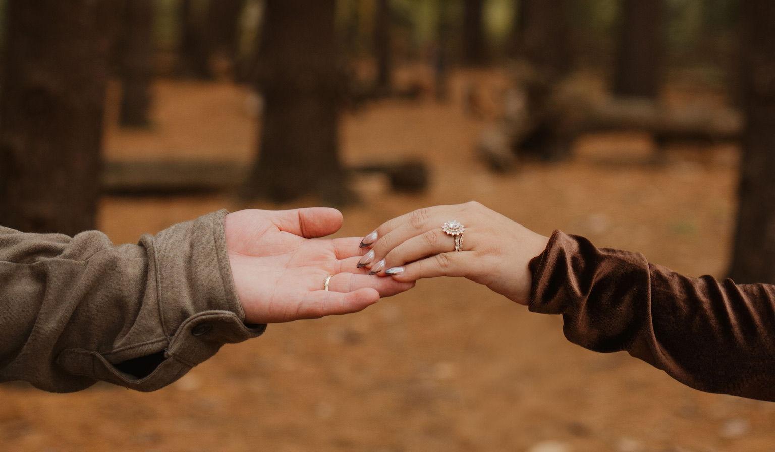 Hero Slideshow Image 2