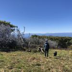 Craggy Gardens