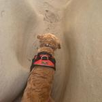 Ho Chi Minh Trail - Beach Access