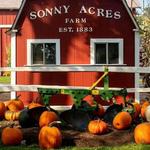 Sonny Acres Farm