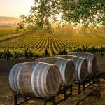 Long Island Wineries