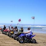 Pismo Beach Sand Dunes