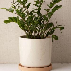 Parker 10" Planter + Drainage Tray Set