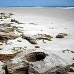 Washington Oaks Gardens State Park