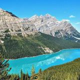 Peyto Lake Viewpoint
