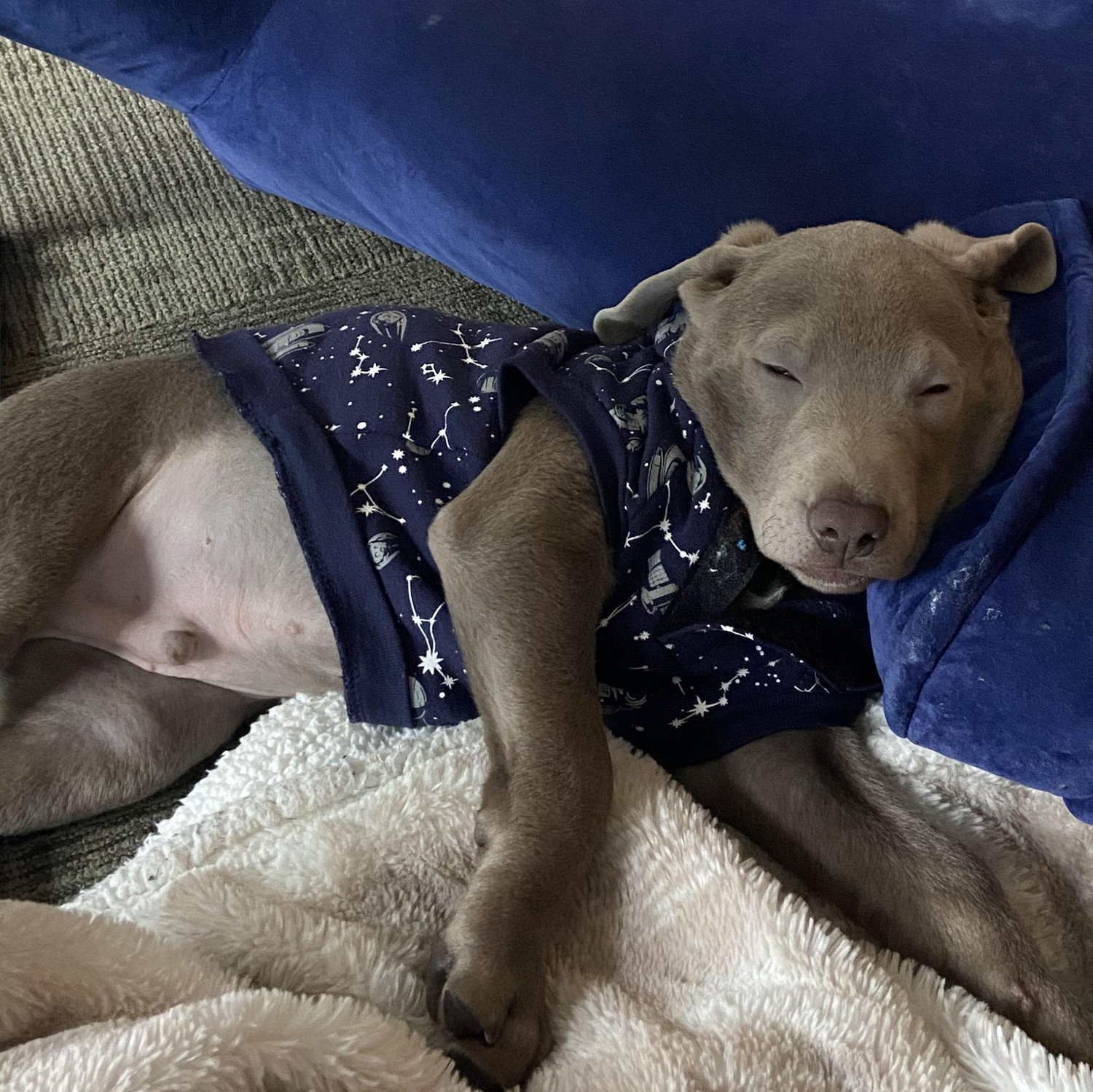 Summer 2020, Cooper