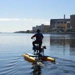 Tampa Bay Water Bike Company