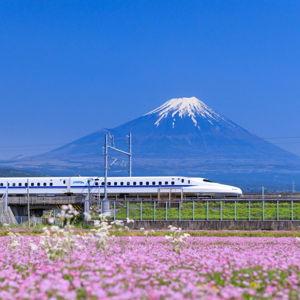 Osaka → Tokyo (Shinkansen)