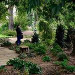 The Botanic Garden at Oklahoma State University