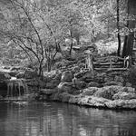 Woodward Park