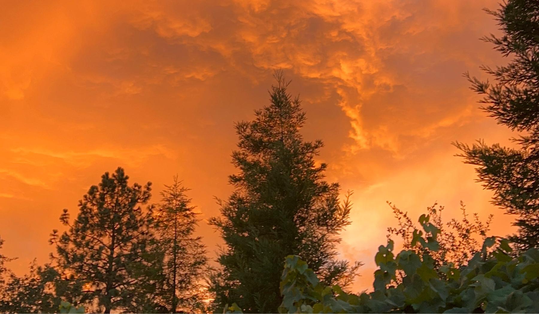 The Wedding Website of Kira Borgel and Alex Darling