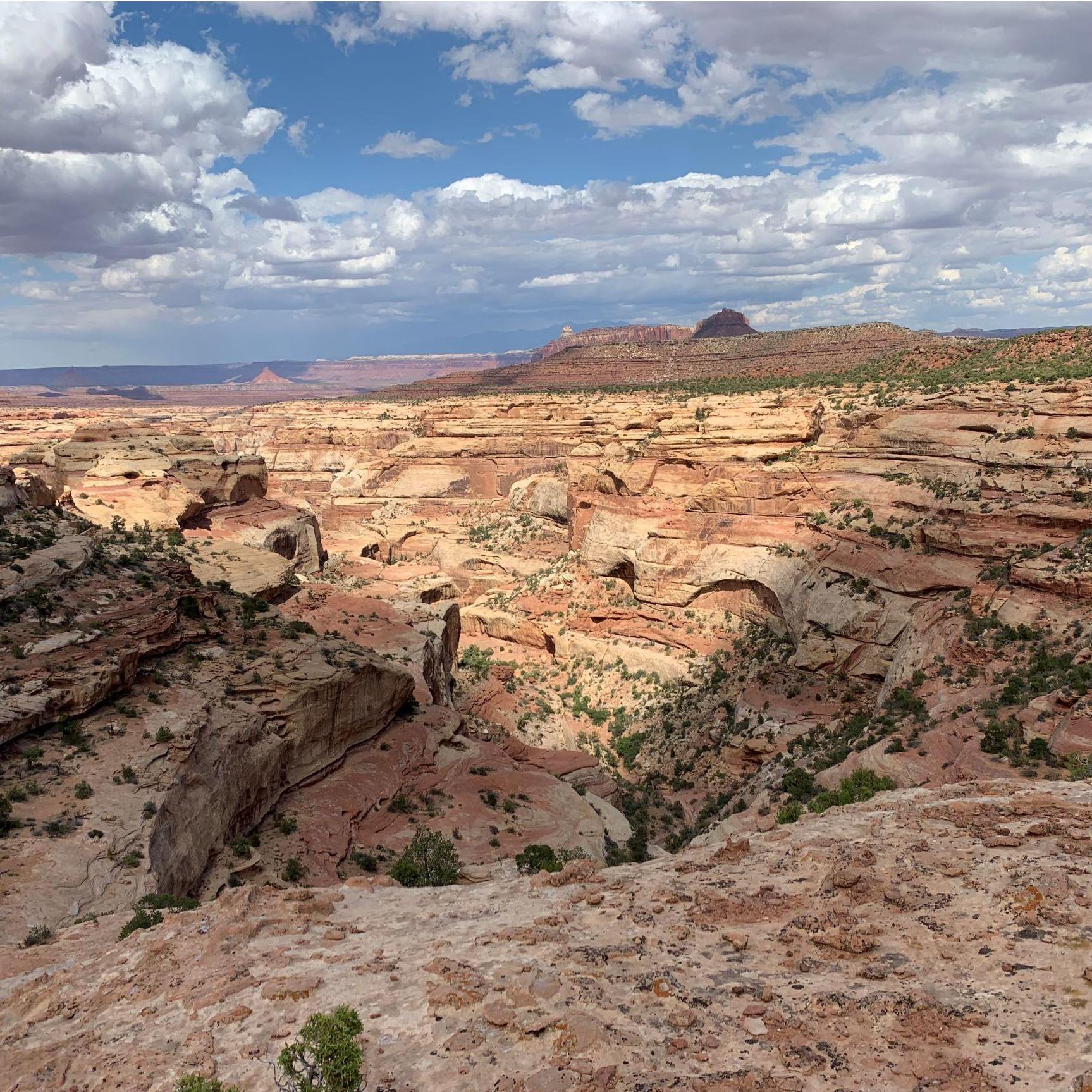 A Canyon we did not go down (yes, there were a few.)