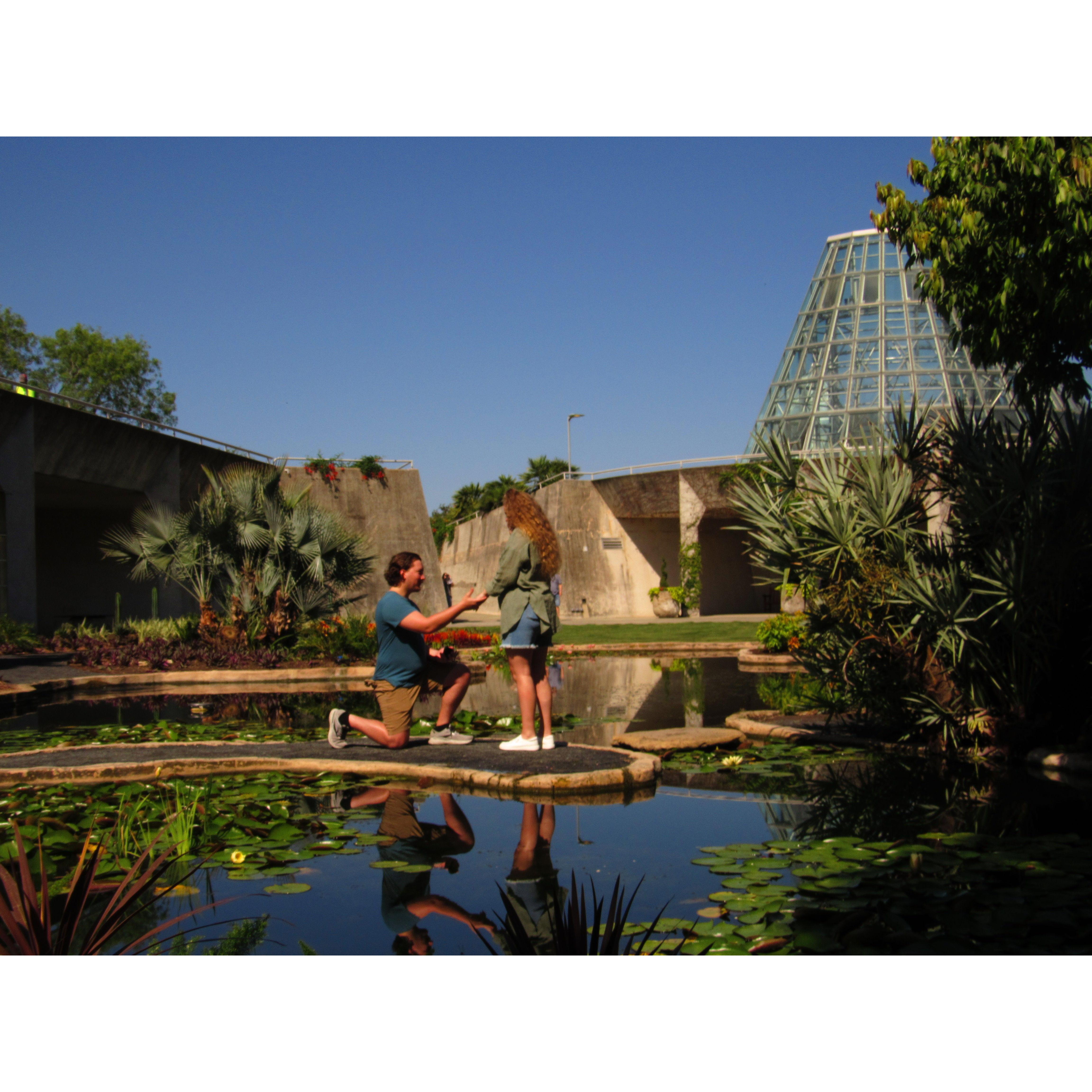 Engagement in San Antonio!