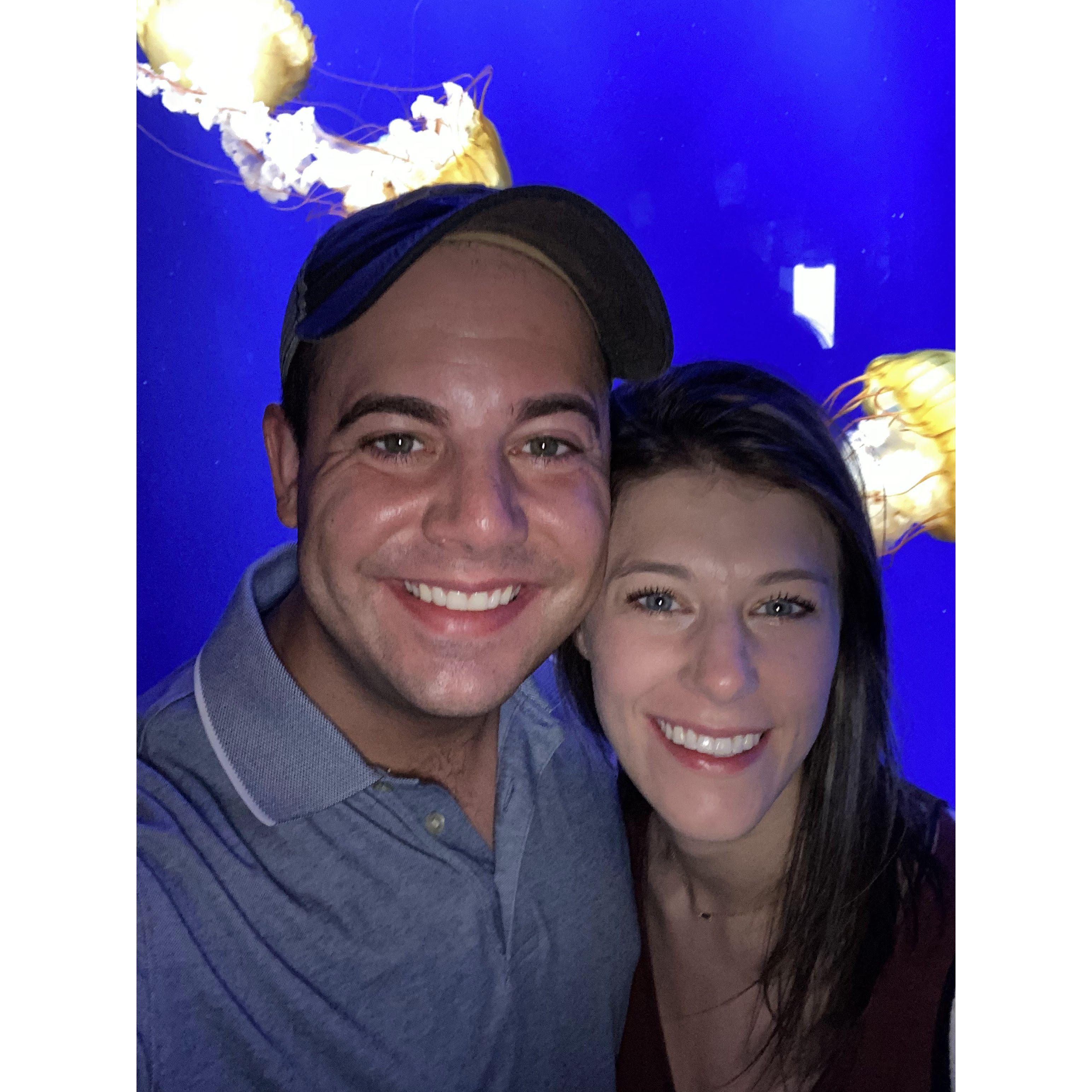 Atlanta Aquarium