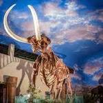 The Bishop Museum of Science and Nature