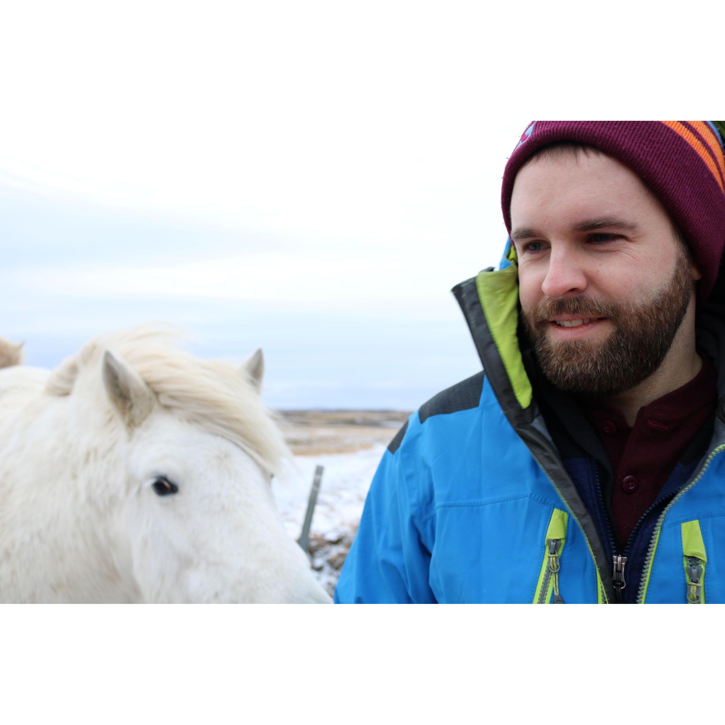 Icelandic horses begging Chris for some loving. December 2018.
