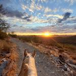 Horseback Riding