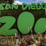 San Diego Zoo  & Safari Park