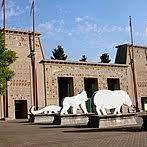 Memphis Zoo