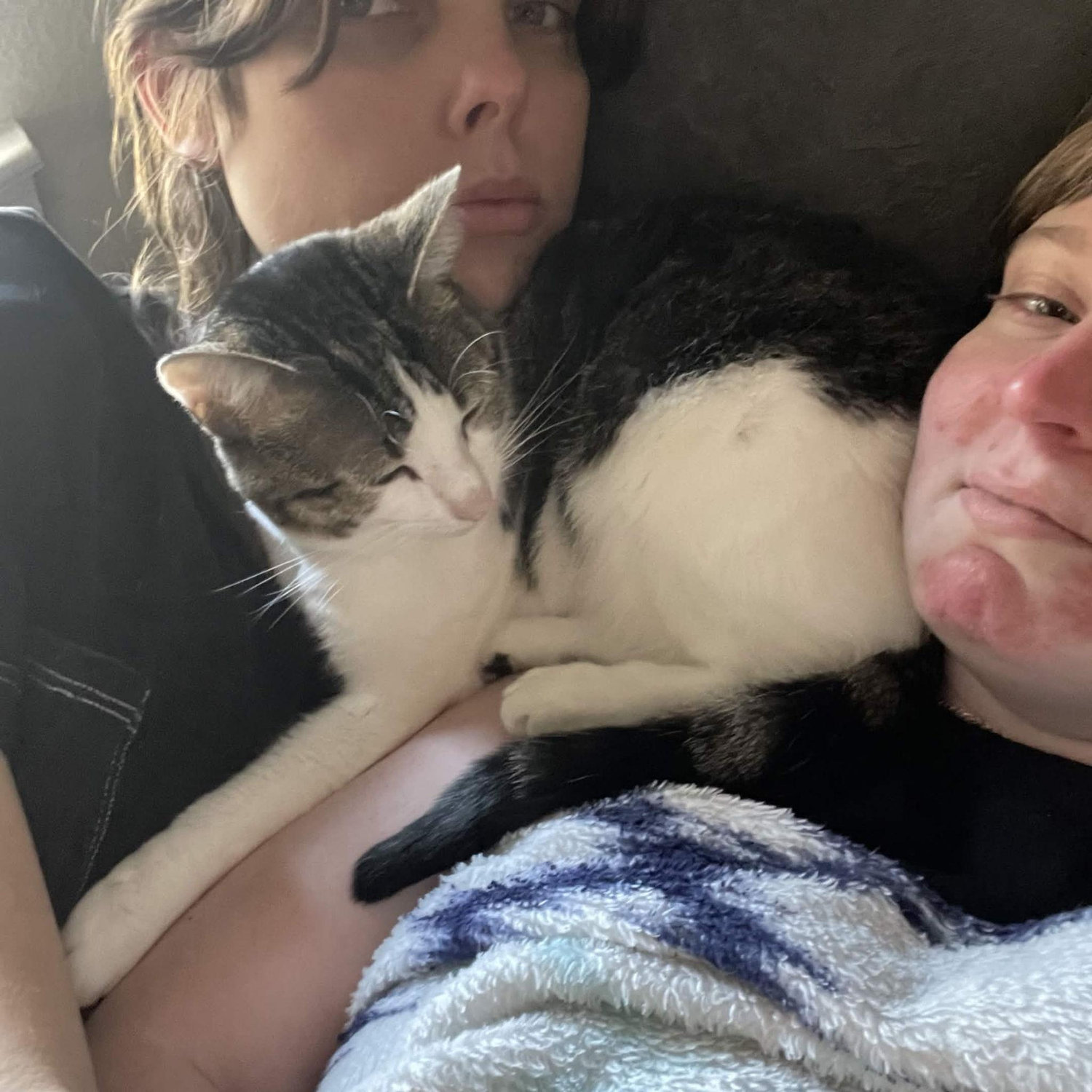 When our funny cat couldn't pick one of us, he simply laid on both. No, we didn't move for awhile.