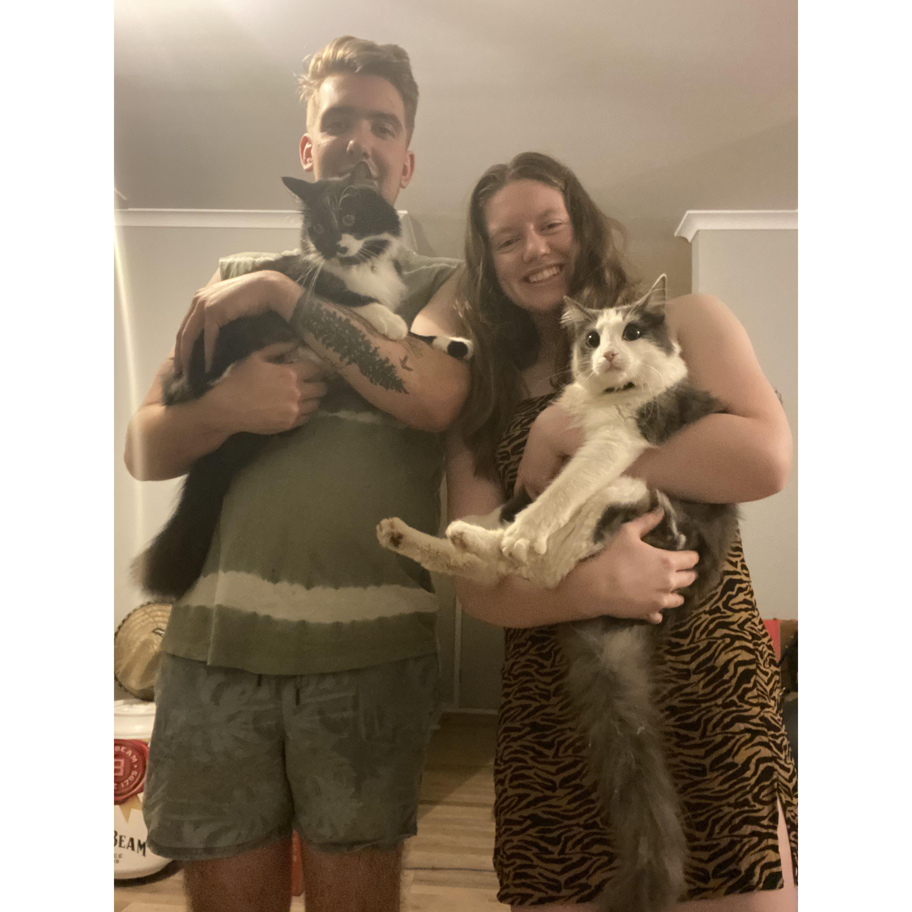 New Years Eve 2020, with our fur babies