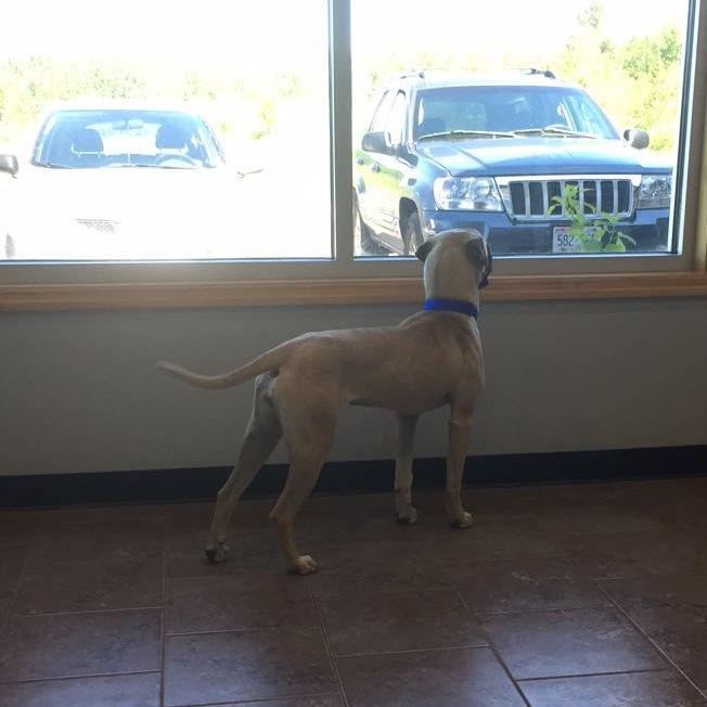 Another Adoption Day photo.