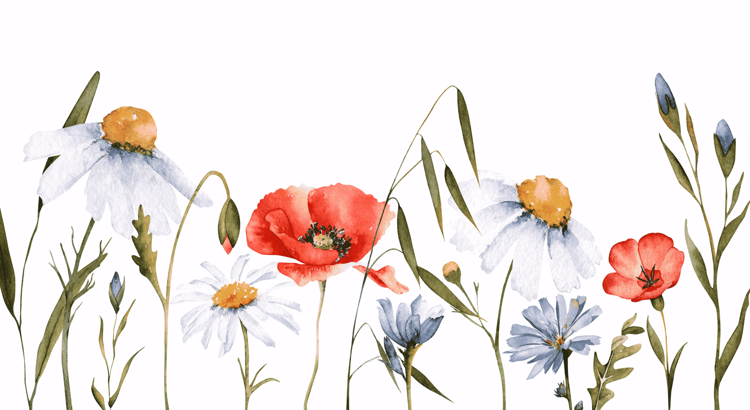 Footer image