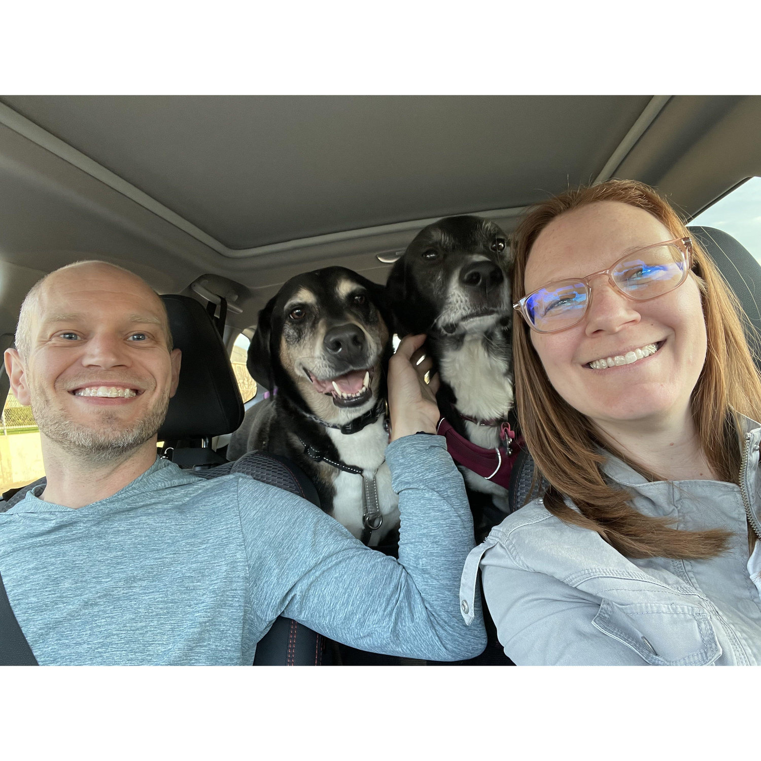 Road trips with the pups are always fun!