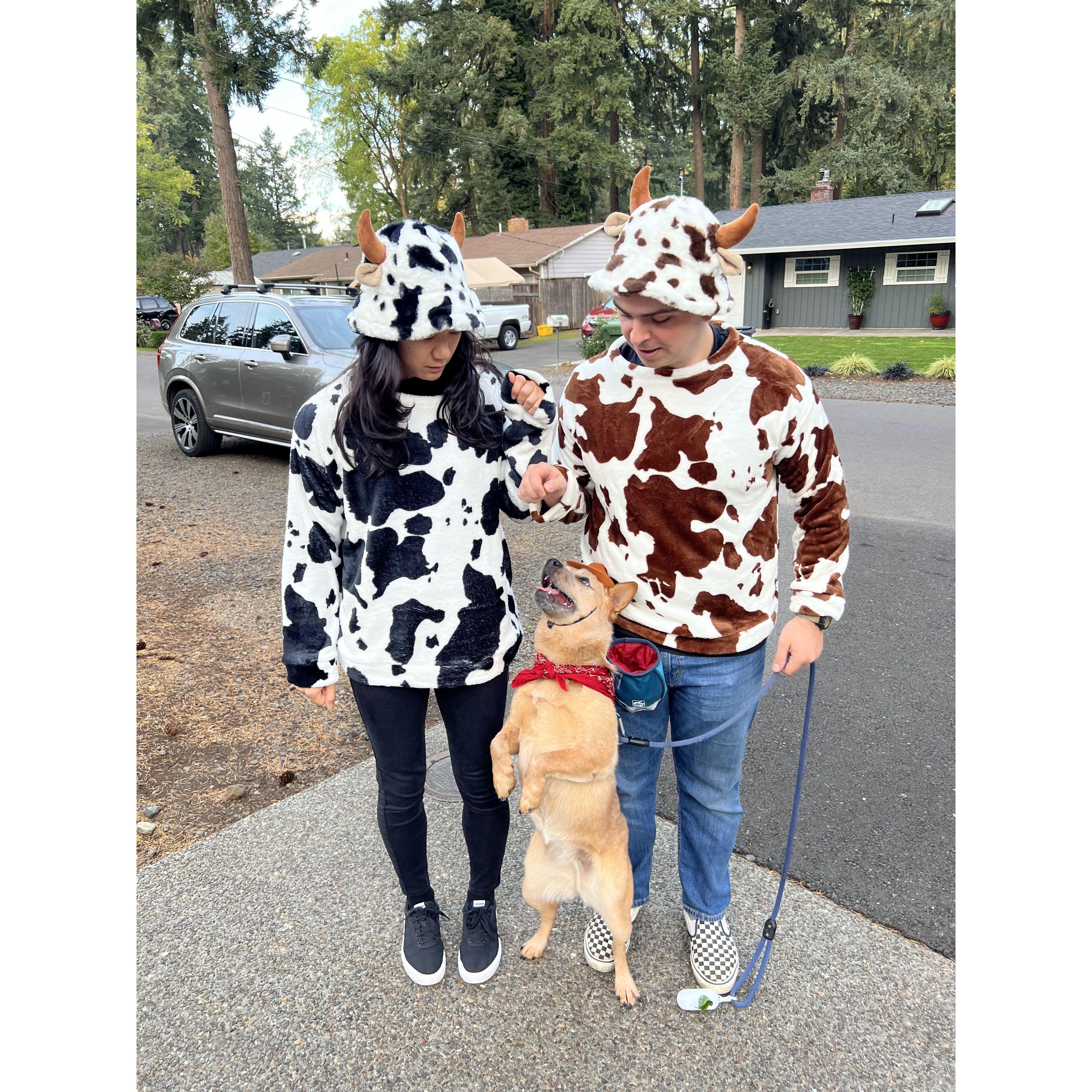 Halloween 2023 "Cowgirl and Cattle"