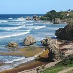 Bathsheba Beach