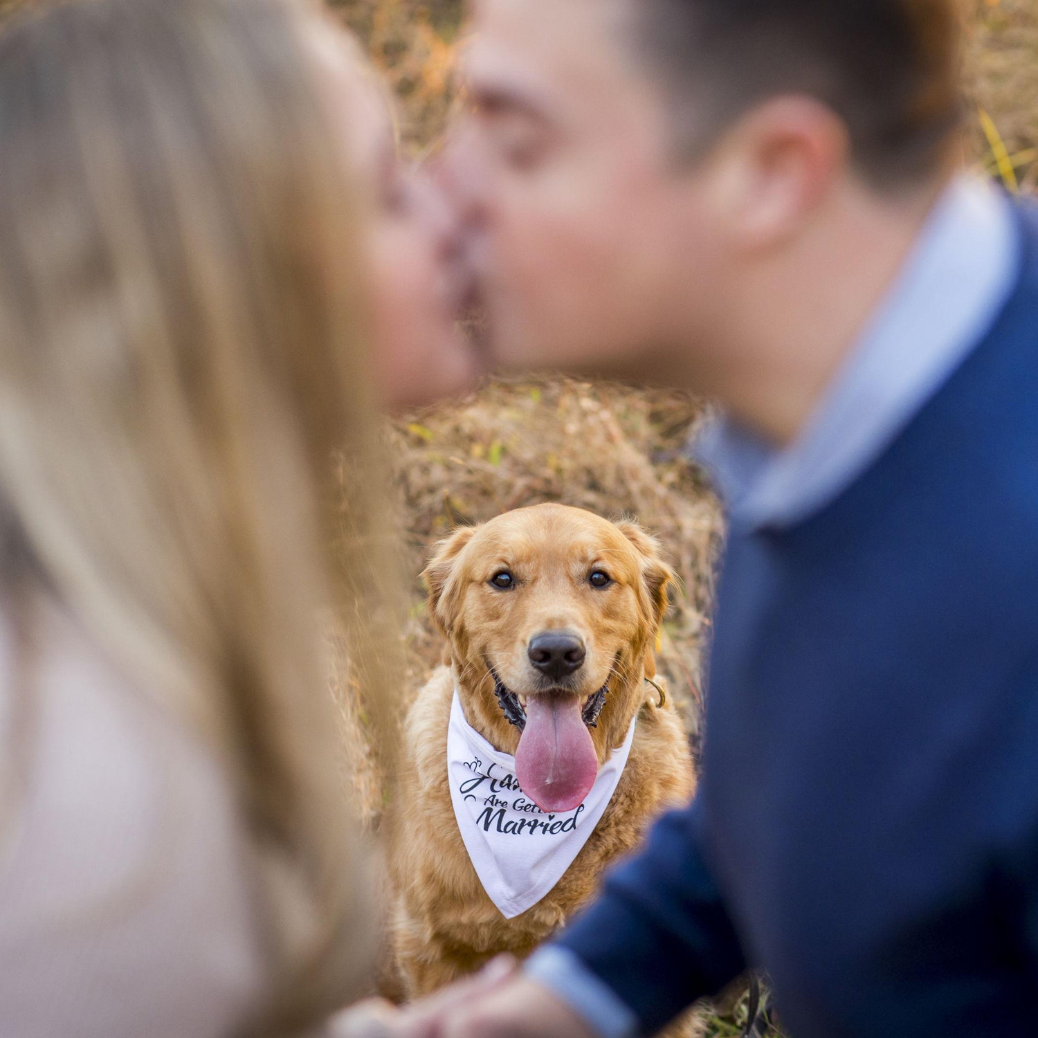 We agree this is easily the best photo we've ever taken :)