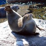 Mystic Aquarium