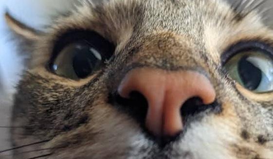 The Wedding Website of Michelle Eckard and Sam Follett