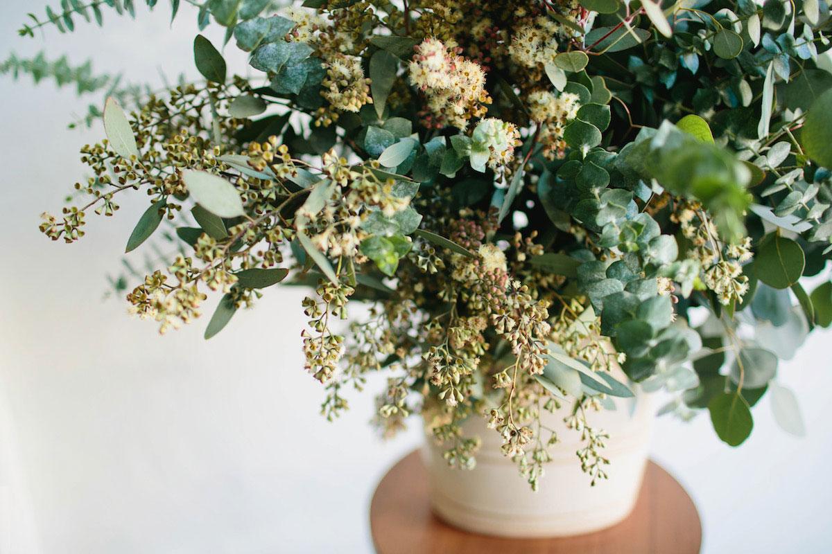 The Wedding Website of Alyssa Ireland and Brandon Feehery