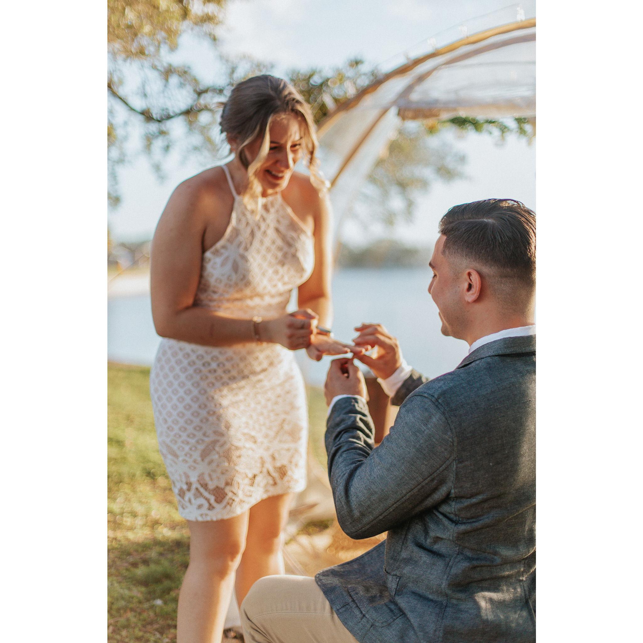 Our engagement, Oct 2022