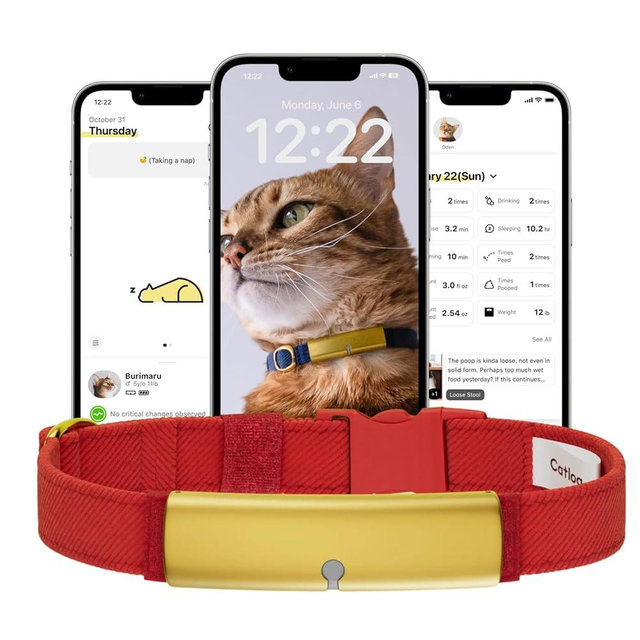 Catlog Health Tracker for Cats - Smart Cat Collar with Safety Breakaway Buckle for Indoor Cats, Wellness Alerts, Real-time Monitoring (Red, M)