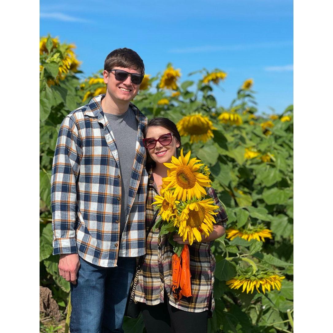 Picking Sunflowers