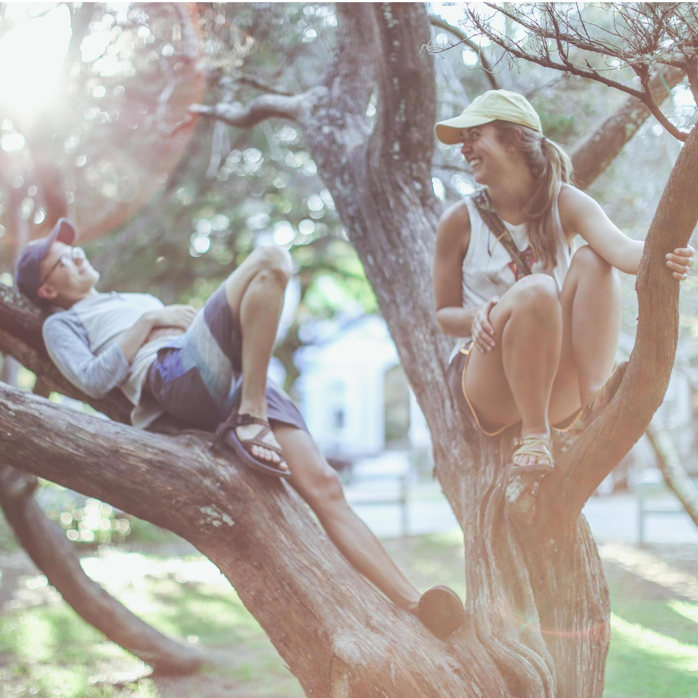 Trees. The beach. Good times. All of our favorite things.

Photo Cred: Aaron Stiles