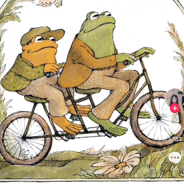 Big Trans Safety Net